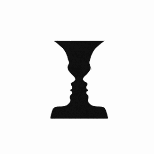 Face-Vase Illusion Transformation 1