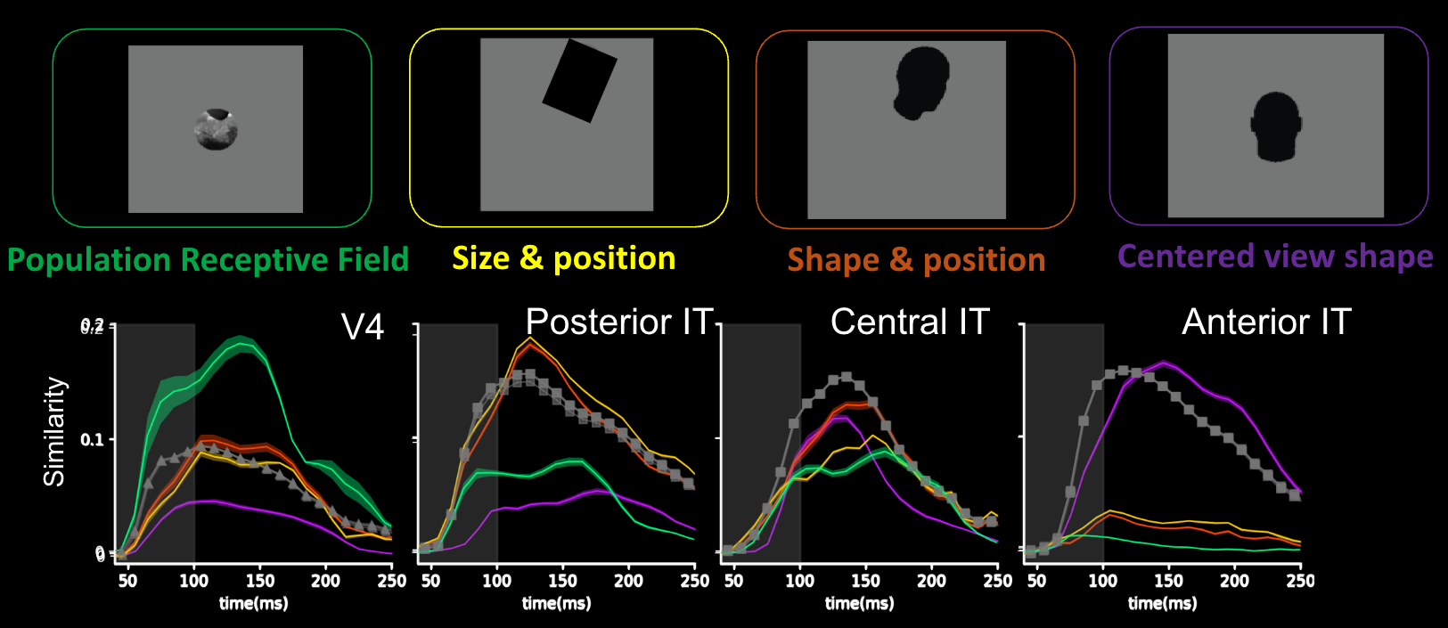 MSA interpretable features preview
