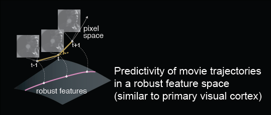 Temporal Representations Preview