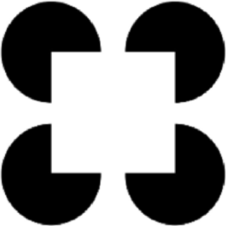 Kanizsa illusions