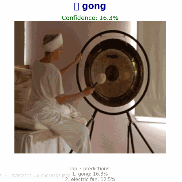 Core object recognition
